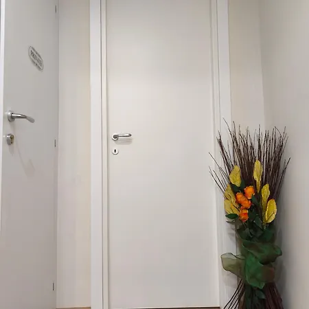 Apartment Domus Iarovalvi
