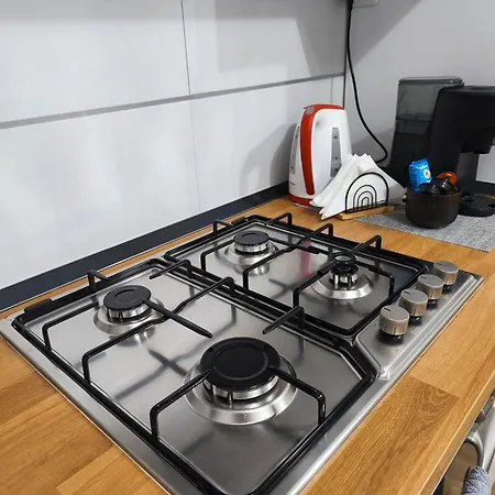 Domus Iarovalvi Apartment